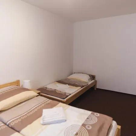 Apartmany Alpsky Dum Zelezna Ruda Room photo