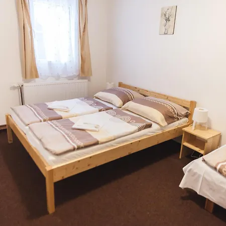 Apartmany Alpsky Dum Zelezna Ruda Room photo