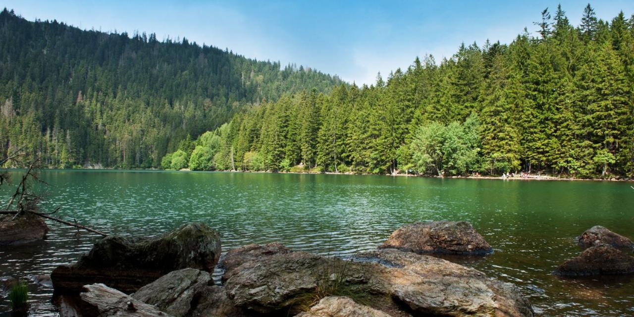 Alpsky Dum Železná Ruda