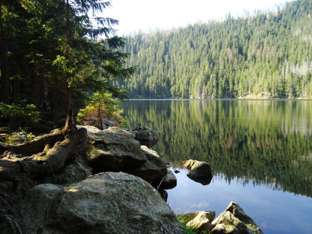 Alpsky Dum Železná Ruda